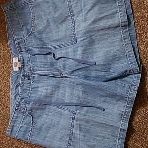 Lane Bryant Venezia Women's Light Blue Denim Shorts